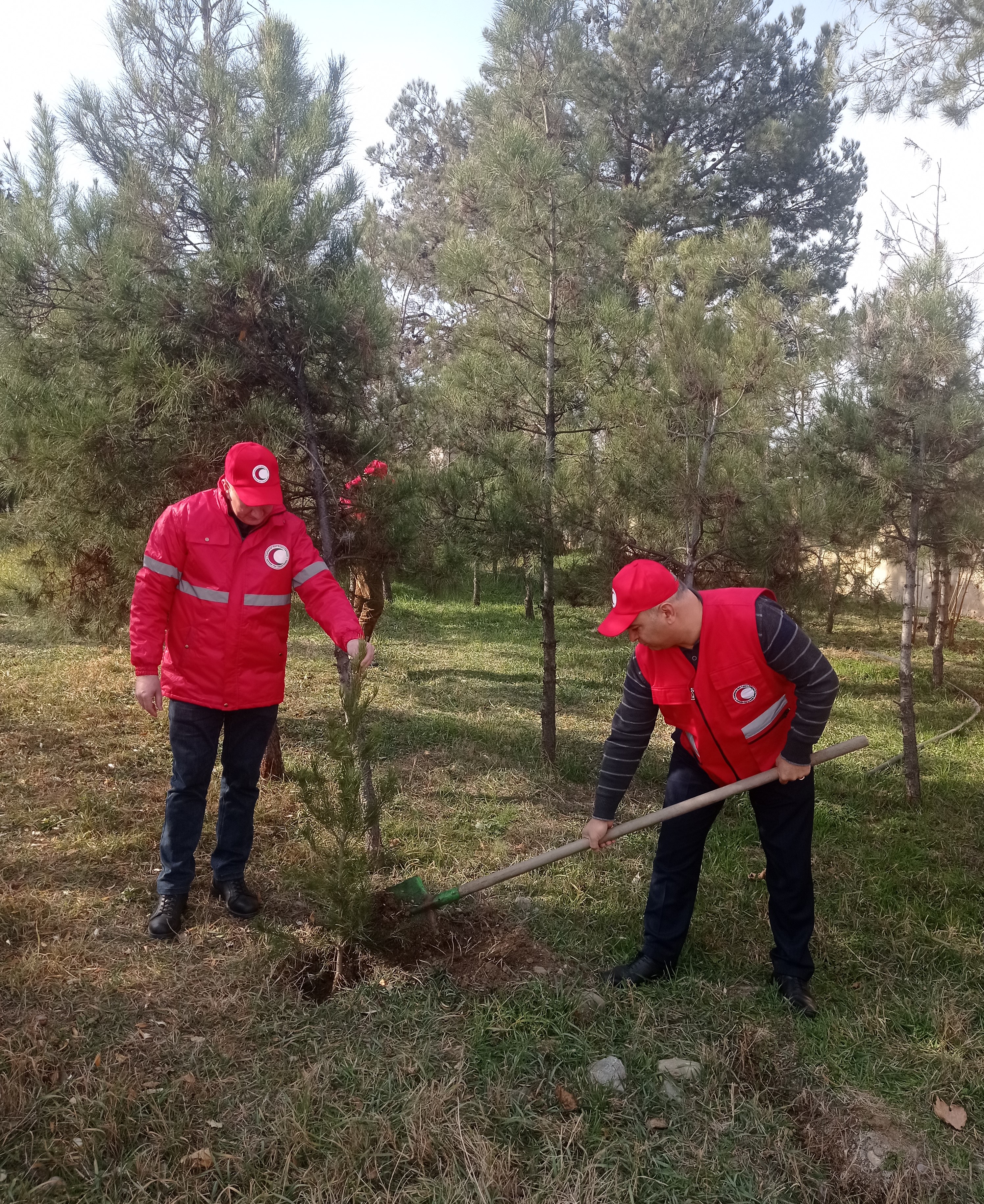  Tree planting activity held in Ganja city to mark the 105th anniversary of the AzRCS